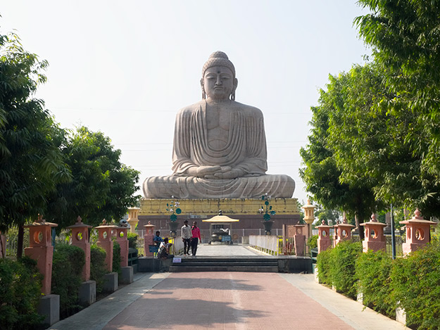 Mahabodhi temple and bodhi tree