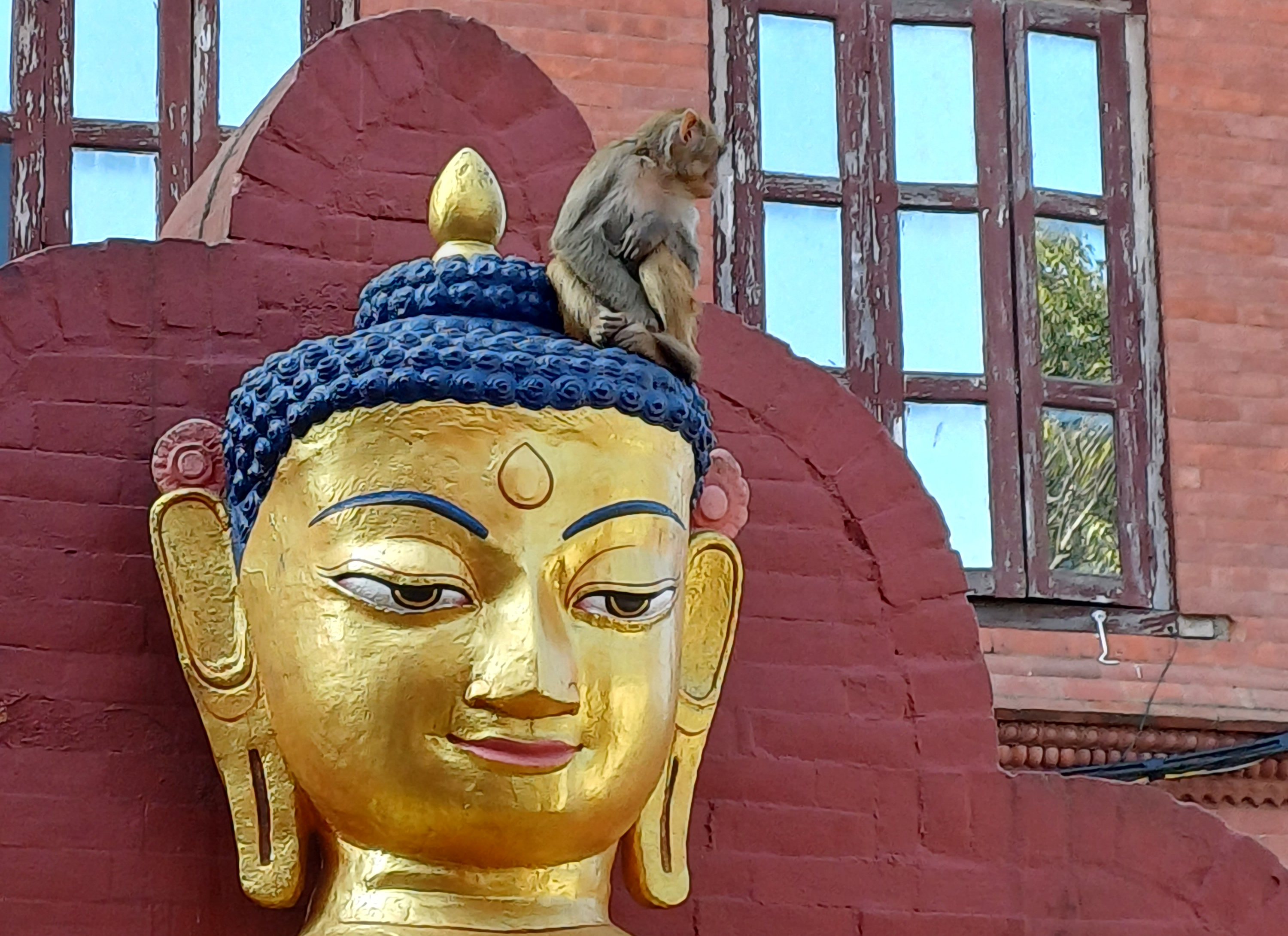 Golden Buddha at Swayambhunath, Nepal